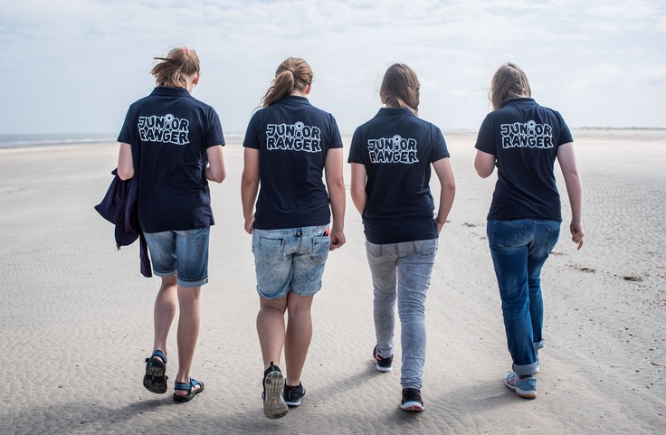 Sommerreise 2015: Nationalpark Wattenmeer (1)