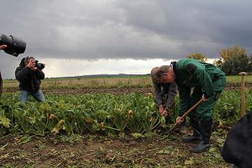 Ministerpräsident Weil und Landwirt Bleckwenn in gebückter haltung bei der Erntearbeit, beaobachtet von Medienvertreter