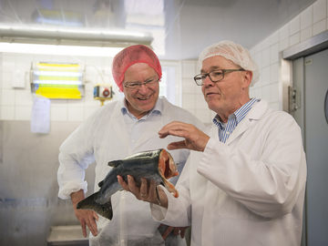 Sommerreise 2018; Produktionsbesichtigung in der Räucherei, Inhaber Kunkel zeigt dem Ministerpräsidenten einen Lachs