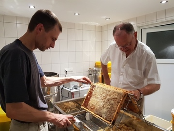 Ministerpräsident Weil konzentriert bei der Arbeit in der "Honigküche" der Imkerei Vogt