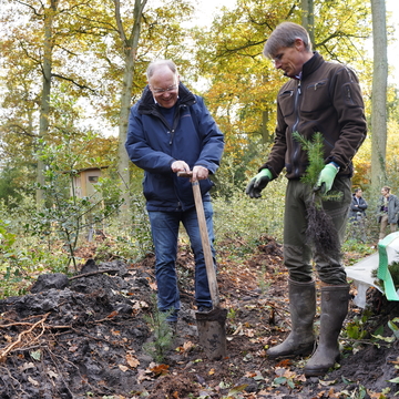 Baumpflanzaktion im Rahmen einer auswärtigen Kabinettssitzung gemeinsam mit dem Waldbesitzerverband Niedersachsen (November 2023)