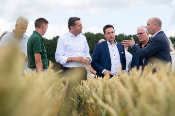 Ministerpräsident Olaf Lies steht in einem Feld mit Landwirten und Vertretern der Niedersächsischen Landwirtschaftskammer und unterhalten sich.