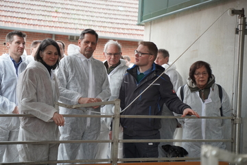 Der Ministerpräsident Olaf Lies und Landwirtschaftsministerin Miriam Staudte schauen sich einen Schweinestall an und lassen sich von dem Landwirt dazu etwas erklären.