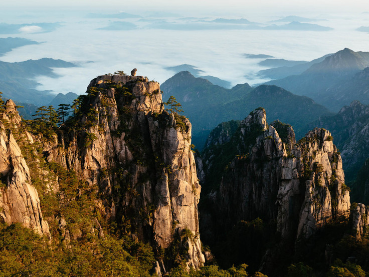 Steinaffe mit Blick über das Wolkenmeer im Huangshan-Gebirge (Anhui)