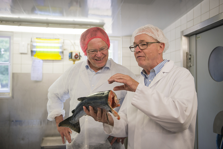 Ministerpräsident Stephan Weil in einer Fischverarbeitung