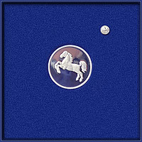 Verdienstmedaille für vorbildliche Verdienste um den Nächsten (Schauseite)